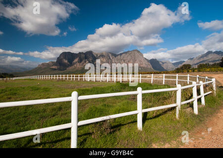 Zaun am Zorgvliet Wine Estate vor Simonsberg Mountains, Banhoek Valley in der Nähe von Stellenbosch, Kapstadt, Südafrika Stockfoto