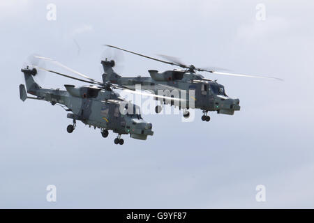 RNAS Yeovilton, Somerset, UK. 2. Juli 2016. Yeovilton basierte schwarze Katzen Helicopter Display Team fliegen ein paar von der Royal Navy neue Wildcat BRH Hubschrauber Credit: David Billinge/Alamy Live News Stockfoto