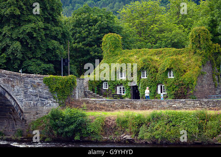 Besucher genießen die Tu Hwnt I'r Bont Teestube während der trockenen buchstabieren Romanum, North Wales, UK. Stockfoto