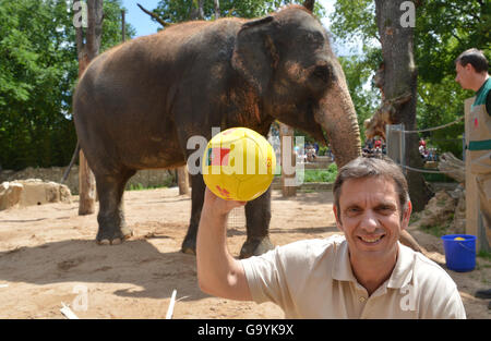 Stuttgart, Deutschland. 4. Juli 2016. Zoo-Direktor Thomas Koelpin, hält den Ball von Elefanten "Zella" mit der Flagge von Deutschland gewählt und bestimmt damit Deutschland als Sieger gegen Frankreich im Halbfinale in Stuttgart, Deutschland, 4. Juli 2016. Foto: FRANZISKA KRAUFMANN/Dpa/Alamy Live News Stockfoto