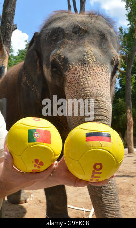 Stuttgart, Deutschland. 4. Juli 2016. Zoo-Direktor Thomas Koelpin, hält die beiden Kugeln von Elefant "Zella" mit der Flagge von Deutschland und Portugal gewählt. Somit bestimmen die beiden Teams als Sieger im Halbfinale in Stuttgart, Deutschland, 4. Juli 2016. Foto: FRANZISKA KRAUFMANN/Dpa/Alamy Live News Stockfoto