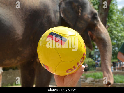 Stuttgart, Deutschland. 4. Juli 2016. Zoo-Direktor Thomas Koelpin, hält einen Ball ausgewählt von Elefanten "Zella" mit der Flagge von Deutschland drauf in. Somit bestimmen die beiden Teams als Sieger im Halbfinale in Stuttgart, Deutschland, 4. Juli 2016. Foto: FRANZISKA KRAUFMANN/Dpa/Alamy Live News Stockfoto