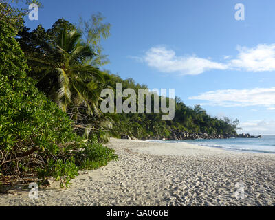 Blick auf den Strand von Anse Georgette, Seychellen Stockfoto
