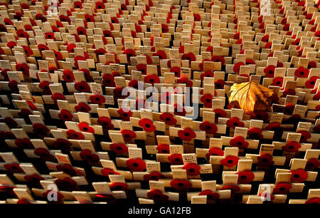 Einzelne Kreuze werden im Bereich der Erinnerung in Westminster Abbey vor dem Remembrance Sunday, London, gepflanzt. Stockfoto