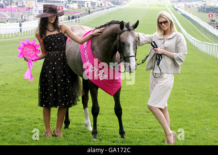 Pferderennen Sie - Vodafone Ladies Day - Epsom Downs Racecourse Stockfoto