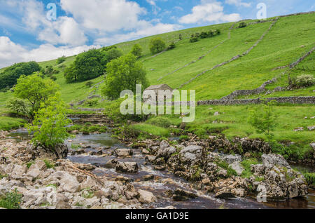 Langstrothdale im oberen Wharfedale in der Yorkshire Dales National Park, zeigt eine Dales-Scheune und des Flusses Wharfe, England Stockfoto