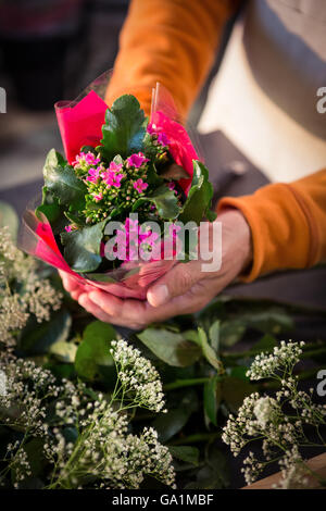 Männliche Floristen halten Blumenstrauß im Blumenladen Stockfoto