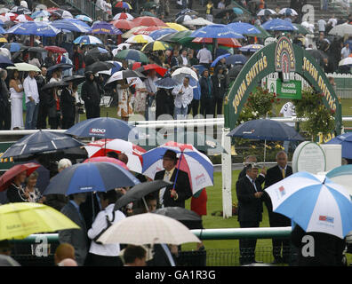 Pferd - John Smith Northumberland Platte Regattatag - Newcastle Racecourse Stockfoto