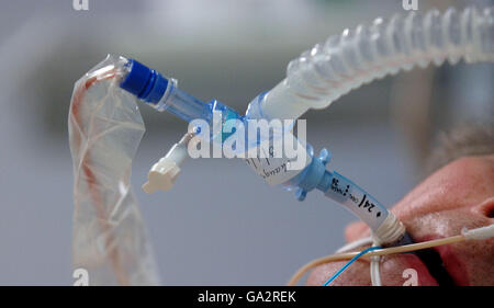 Die Intensivstation im Whittington Hospital im Norden London Stockfoto