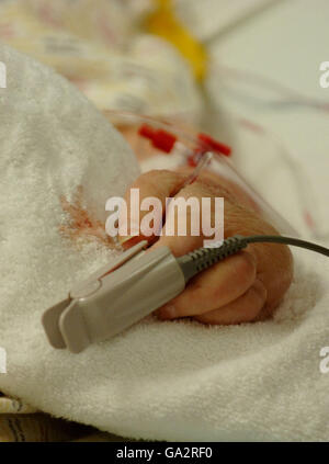 Die Intensivstation im Whittington Hospital im Norden London Stockfoto