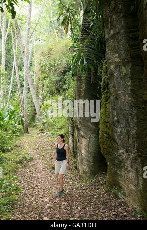 Touristen auf einem Wald Weg, Amani Nature Reserve, Tansania Stockfoto