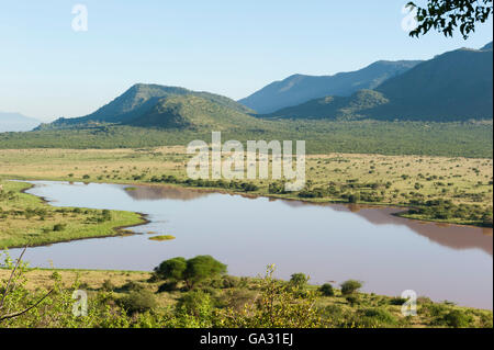 Dindira Damm, Mkomazi Nationalpark, Tansania Stockfoto