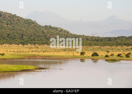 Dindira Damm und Blick auf den Kilimandscharo, Mkomazi Nationalpark, Tansania Stockfoto