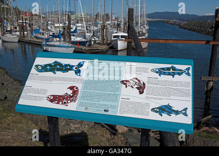 Discovery Harbour Marina gelegen @ Campbell River an der Ostküste von Vancouver Island, British Columbia, Kanada. SCO 10.539. Stockfoto