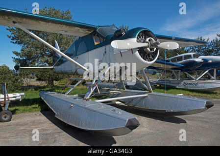 1952 de Havilland Canada DHC-2 Beaver Mk1 SCO 10.555. Stockfoto