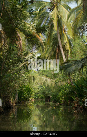 die Landschaft und Flüsse Allround Stadt Tha Kha in westlich von der Stadt von Bangkok in Thailand in der Provinz Samut Songkhram Stockfoto