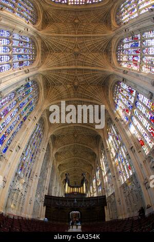 Innere des Kings College Chapel, mit Schiff, gebeizt Glas und Orgel, Universität Cambridge, Cambridgeshire, England, UK, GB Stockfoto