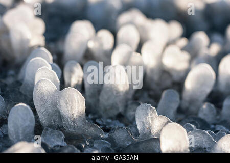 Kleine Runde Eiszapfen bildete sich um Rasen Laub auf dem Boden Stockfoto