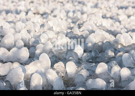 Kleine Runde Eiszapfen bildete sich um Rasen Laub auf dem Boden Stockfoto