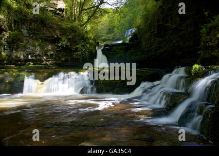 Sgwd Isaf Clun-Gwyn Wasserfall, Ystradfellte, Brecon Beacons National Park, Powys, Wales Stockfoto