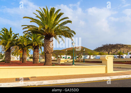 Palmen und weißen Häusern in Yaiza Stadtpark, Insel Lanzarote, Spanien Stockfoto