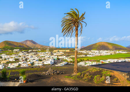 Palme auf der grünen Wiese mit Uga Dorf im Hintergrund, Lanzarote, Kanarische Inseln, Spanien Stockfoto