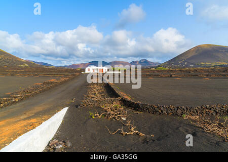 Typisch kanarisches Haus in den Weinbergen in der Nähe von La Geria Dorf, Lanzarote, Kanarische Inseln, Spanien Stockfoto