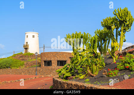 Typischen weißen Windmühle und grünen Kakteen Pflanzen in der Nähe von Yaiza Dorf auf der Insel Lanzarote, Spanien Stockfoto