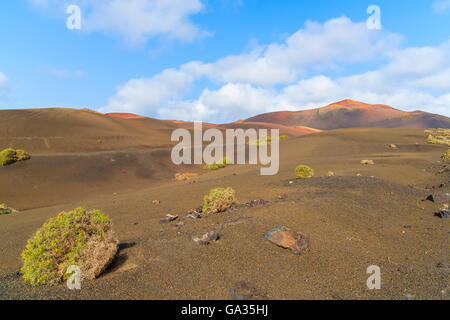 Vulkanische Berglandschaft im Nationalpark Timanfaya, Lanzarote, Kanarische Inseln, Spanien Stockfoto