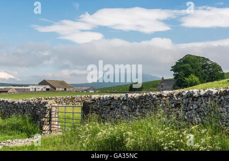 Pen y Gent und Dales Bauernhof auf der Straße von Malham in den Yorkshire Dales National Park an einem hellen Sommertag zu vereinbaren Stockfoto