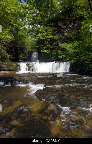 Sgwd Ddwli Isaf, Wasserfall auf Afon Nedd Fechan, in der Nähe von Ystradfellte, Brecon Beacons National Park, Wales, UK, GB, Europa Stockfoto