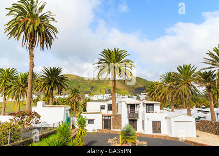 Kanarischen Stil Häuser in Palm Tree Landschaft Dorf Haria, Insel Lanzarote, Spanien Stockfoto