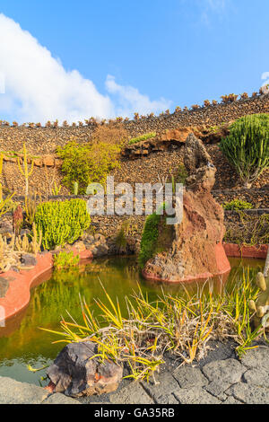 Tropischen Kaktusgarten in Guatiza Dorf, Lanzarote, Kanarische Inseln, Spanien Stockfoto