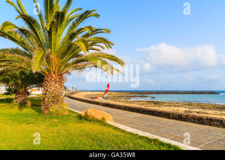 Palme auf Küstenpromenade entlang einem Strand in Costa Teguise, Lanzarote, Kanarische Inseln, Spanien Stockfoto