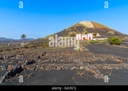 Typisch kanarisches Haus in den Weinbergen in der Nähe von La Geria Dorf, Lanzarote, Kanarische Inseln, Spanien Stockfoto