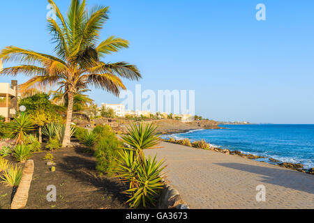 Palmen und Hotelbauten entlang der Strandpromenade in Playa Blanca Dorf, Lanzarote, Kanarische Inseln, Spanien Stockfoto