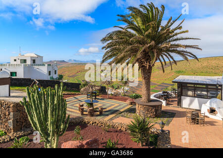 Tropische Pflanzen am Mirador de Los Valles - Aussichtspunkt in Berglandschaft der Insel Lanzarote, Spanien Stockfoto