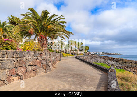 Strandpromenade mit Palmen in Playa Blanca Dorf, Lanzarote, Kanarische Inseln, Spanien Stockfoto