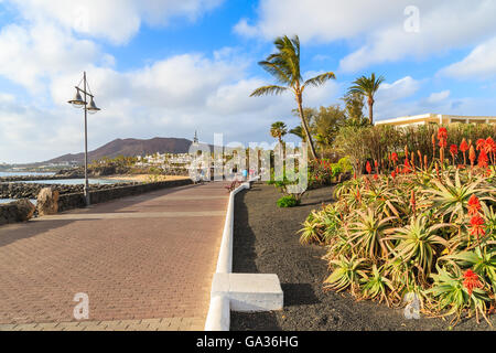 Tropische Blumen auf Küstenpromenade entlang Meer in Playa Blanca Urlaub Stadt, Lanzarote, Kanarische Inseln, Spanien Stockfoto