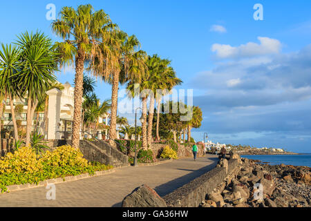 Palmen auf der Insel von Lanzarote in Playa Blanca Urlaub Dorf, Kanarische Inseln, Spanien Stockfoto