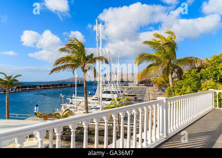 Palmen in Puerto Calero Marina im karibischen Stil erbaut, Insel Lanzarote, Spanien Stockfoto