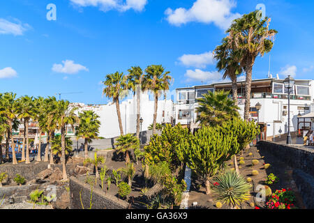 PUERTO DEL CARMEN, LANZAROTE Insel - 17. Januar 2015: tropische Pflanzen in der Stadt Puerto del Carmen. Kanarischen Inseln sind beliebtes Urlaubsziel, besonders während des europäischen Winters. Stockfoto