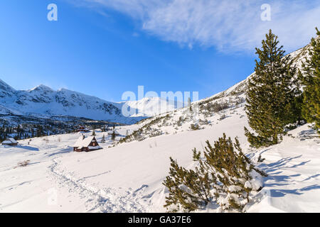 Weg zum hölzernen Hütten in Winterlandschaft von Gasienicowa Tal, Tatra-Gebirge, Polen Stockfoto