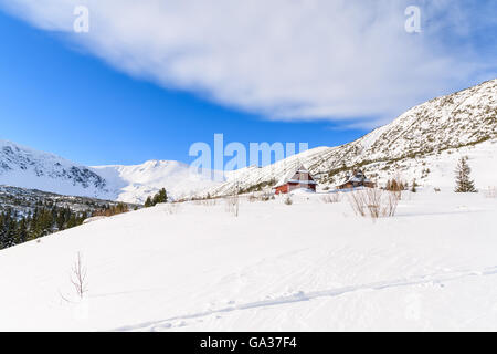 Loipe im Neuschnee und hölzernen Hütten im Hintergrund in der Winterlandschaft des Gasienicowa Tals, Tatra-Gebirge, Polen Stockfoto