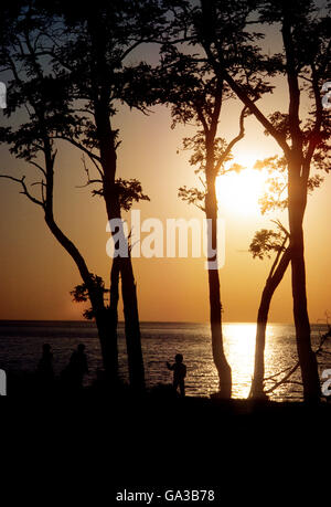 Menschen, die Silhouette gegen Sonnenuntergang Himmel im Park; Lake Erie; in der Nähe von Cleveland; Ohio; USA Stockfoto