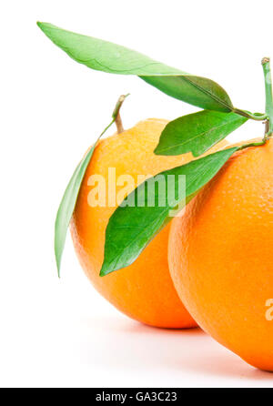Frische Orange Früchte, Isolated on White Background Stockfoto