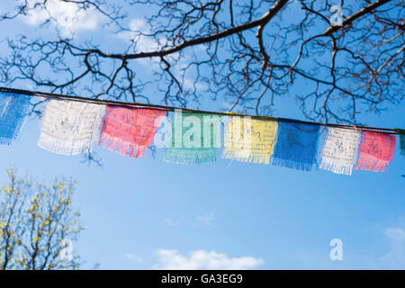 Tibetische Frieden Flaggen vor blauem Himmel Stockfoto