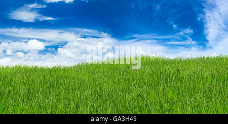 Grasgrün Landschaft auf blauen Wolkenhimmel Stockfoto