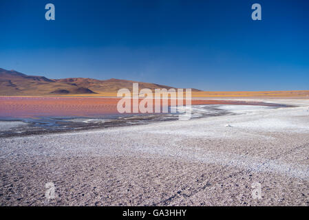 Weitwinkel-Ansicht von "Laguna Colorada", bunte Salzsee mit Flamingos, auf dem Weg zu den berühmten Uyuni Salz flach, unter der Stockfoto