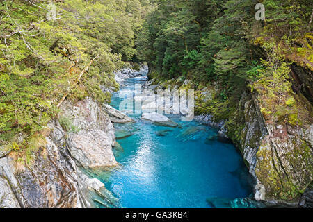 Die blauen Pools von Haast Pass, Mount Aspiring National Park, West Coast, South Island, Neuseeland Stockfoto